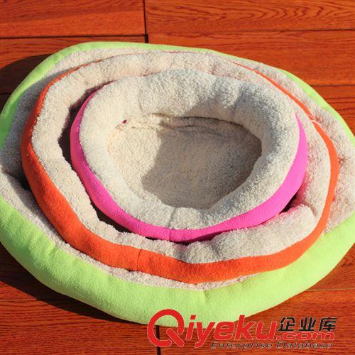 每月新品 FatCat寵物玩具 藍(lán)兔 金毛泰迪貴賓磨牙發(fā)聲耐咬 幼犬中小狗玩具