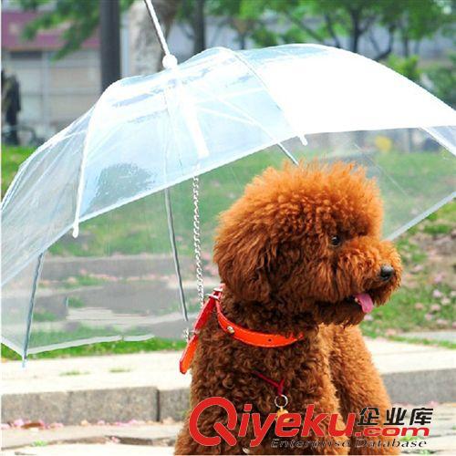 寵物日用品 新品快訂泰迪小型犬用帶牽引狗鏈遛狗雨傘 寵物雨傘狗雨衣雨披