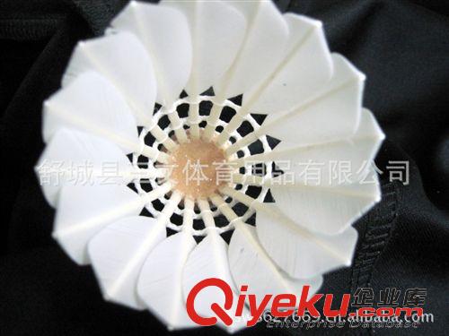 無標(biāo)羽毛球 批發(fā)安徽鶿鴣鴨二級全園羽毛球 專業(yè)比賽用球球館體育俱樂部專用