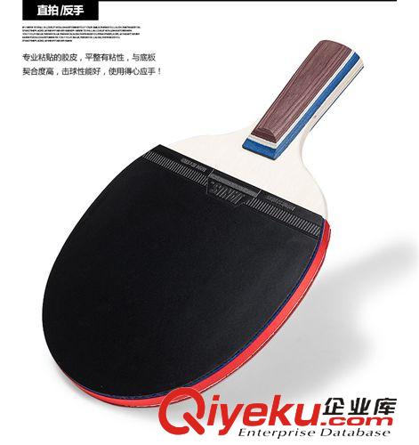 成品球拍 熱銷乒乓球拍成品雙喜1星結構球拍廠家批發小額批發