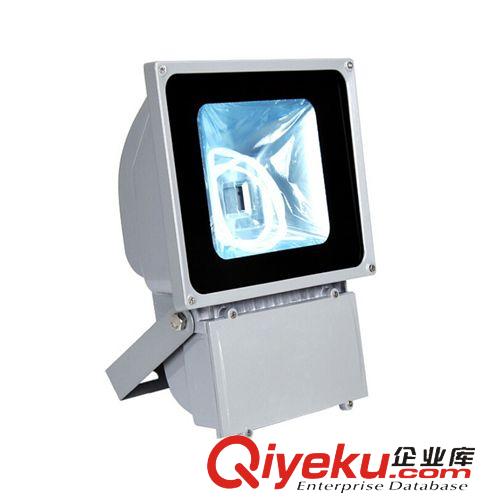 投光燈 LED 投光燈 泛光燈 10w 20w 30w 50w外殼套件批發(fā) 路燈