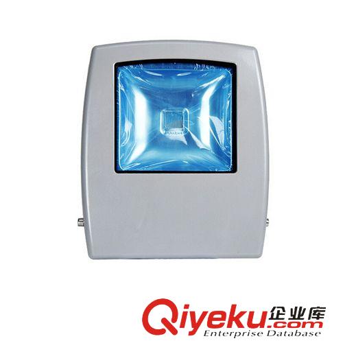 投光燈 LED壓鑄2*50w 50w 30w 集成新款投光燈led泛光燈 套件外殼批發