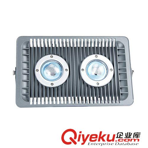 投光燈 LED壓鑄2*50w 50w 30w 集成新款投光燈led泛光燈 套件外殼批發