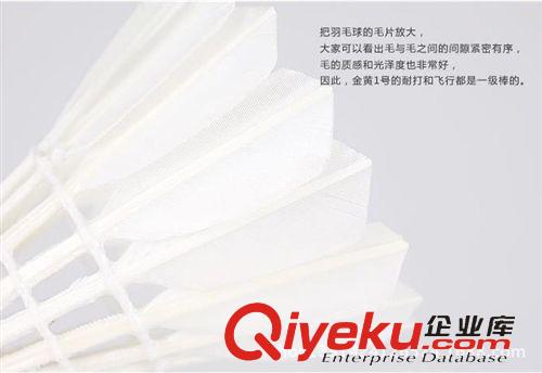 球拍配件 集益TOPO 訓練球羽毛球 3只裝  zp 耐打標速原始圖片3