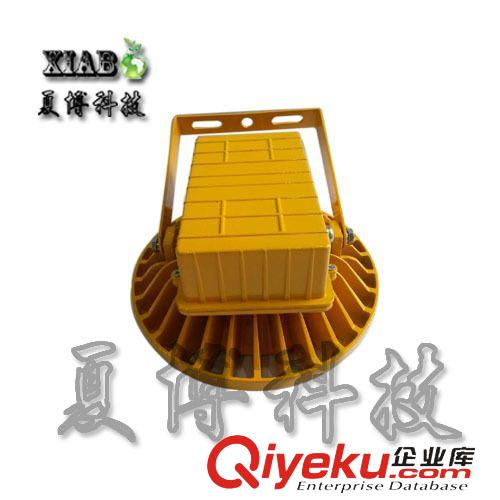 LED投光燈 【生產(chǎn)廠家】LED 防爆燈投光燈外殼 套件 壓鑄鋁集成COB100W原始圖片3