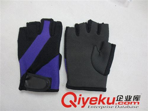手套 手套 廠家直銷騎行手套 戶外運(yùn)動(dòng)手套 健美運(yùn)動(dòng)防滑手套