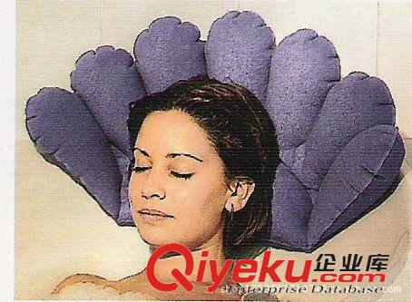 充氣枕頭系列/pillow 廠家供應(yīng)植絨充氣休閑枕 花型枕頭 旅游三寶 可生產(chǎn)定制規(guī)格原始圖片3