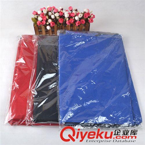 戶外用品 CH0153后座平板一高一低車墊(001)新價寵物用品代理加盟一件代發(fā)原始圖片2