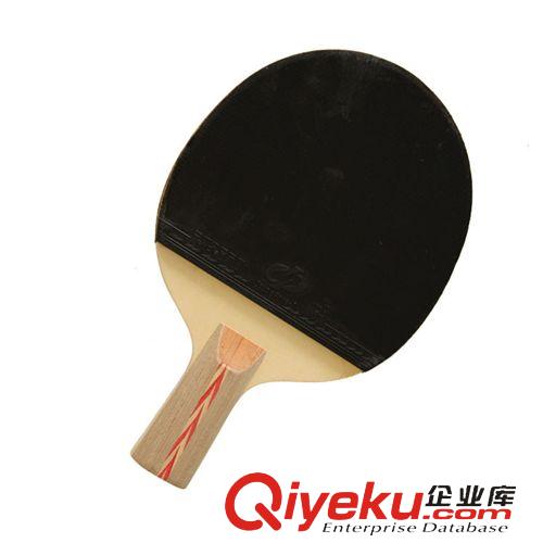 乒乓球拍 熱銷款廠家直銷 乒乓球拍 批發(fā) 精裝雙面反膠 廣州體育用品