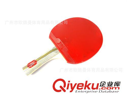 乒乓球拍 廠家直銷 乒乓球拍 精裝雙面反膠 體育用品批發 一件代發