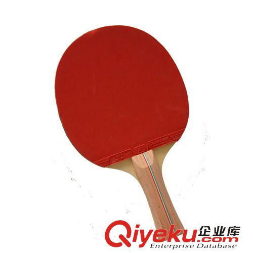 乒乓球拍 廠(chǎng)家直銷(xiāo) 乒乓球拍批發(fā) 精裝雙面反膠 體育用品 熱銷(xiāo)款