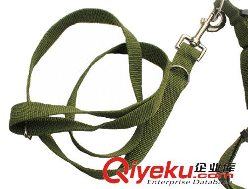 寵物鏈圈、繩帶 寵物牽引繩軍綠牽引胸背套專業(yè)狼狗鏈 中大型犬使用原始圖片3