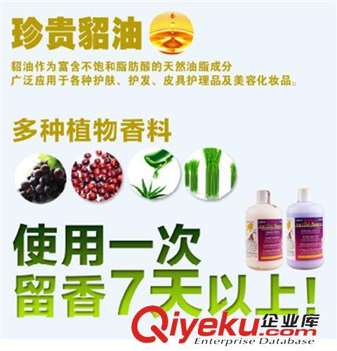 寵物香波浴液 雪貂 狗狗沐浴露寵物香波 白毛專用 美白泰迪沐浴液洗澡用品原始圖片2