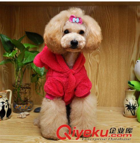 服裝 史迪奇 寵物衣服 狗狗服裝 秋冬新款 超厚蓬松款 珊瑚絨冬季棉衣原始圖片3