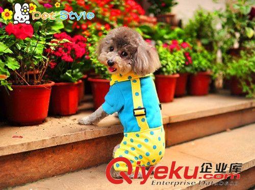 服裝 史迪奇 寵物衣服 狗狗服裝 秋冬新款 超厚蓬松款 珊瑚絨冬季棉衣