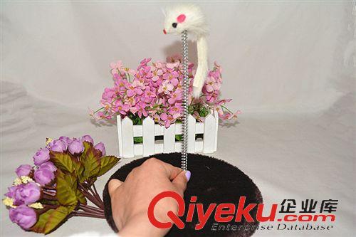 寵物食品零食 伊格狗糧500g幼犬 小包裝犬糧 幼犬狗糧小袋裝 益生元促消化狗糧
