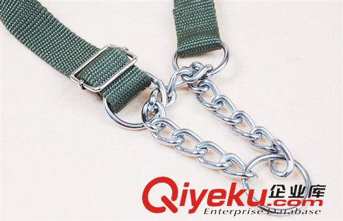 寵物牽引帶 寵物軍綠色頸帶 狗繩子 牽引繩 狗狗頸圈 牽引帶 寵物用品批發(fā)原始圖片3