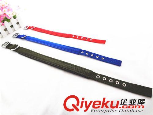 寵物牽引帶 狗狗頸圈 寵物泡沫頸圈 狗繩子批發(fā) 中小型犬脖圈原始圖片2