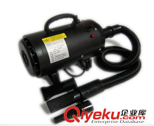 寵物美容專用 廠家直銷藍豚寵物吹水機 單馬達吹風機1000W-2400W 可調冷熱風
