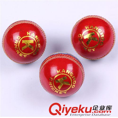 板球CRICKET 純印度進口2015新款訓練比賽必備PU板球純實木縫制 批發一件代發原始圖片3
