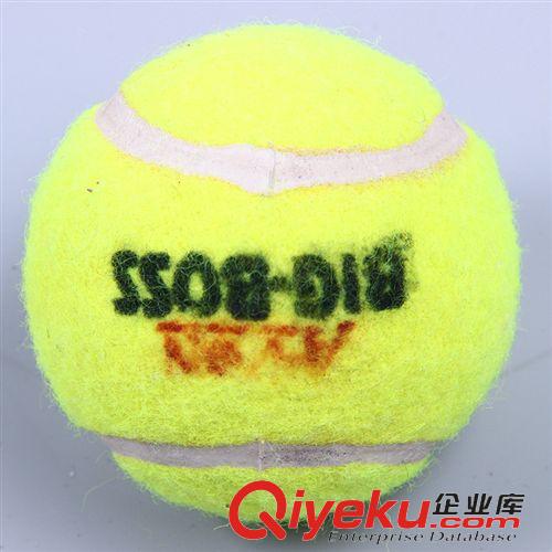 板球CRICKET 印度進口2015新款Tennis balls網球板球初學者專用 批發一件代發原始圖片3