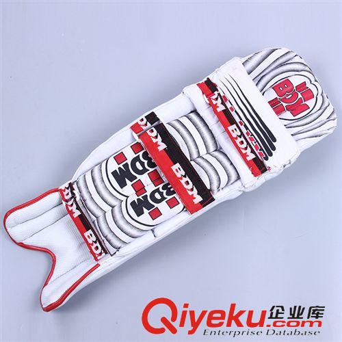 板球防護用具 Wicket Keeping Gloves印度進口板球守門手接球員手套 綠色批發