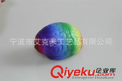 PU器官醫藥類 tj供應PU大腦 PU器官 PU發泡工藝品 PU制品原始圖片3