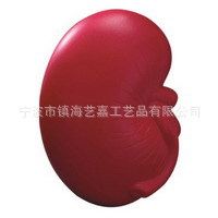 PU器官醫(yī)藥類 高品質(zhì)環(huán)保仿真促銷贈送品[YIJIA品牌]PU腎臟