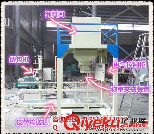 電子定量包裝機 多用型包裝設備 把尿素裝袋的機器叫什么 自動尿素裝包機