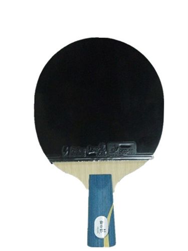 熱銷 新品上市 乒乓球拍 zp  六星狂飆龍 球拍 單只裝直橫拍 包郵原始圖片2