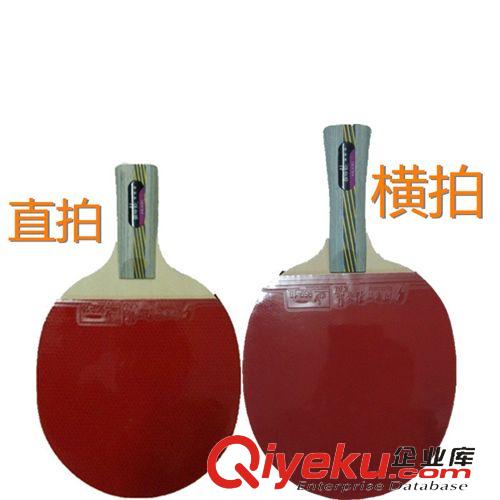 熱銷 新品上市 zp 乒乓球拍 狂飆龍三星 單只裝直拍 乒乓球成品拍 包郵原始圖片2