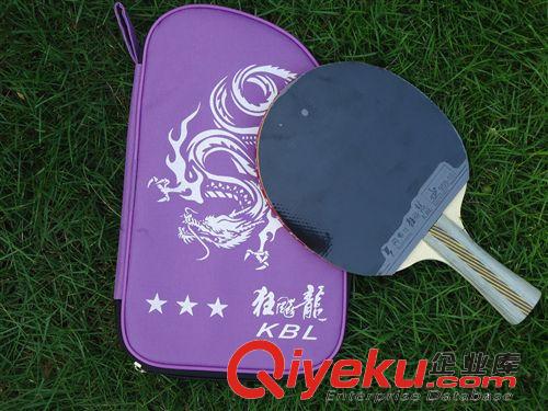熱銷 新品上市 zp 乒乓球拍 狂飆龍三星 單只裝直拍 乒乓球成品拍 包郵原始圖片3