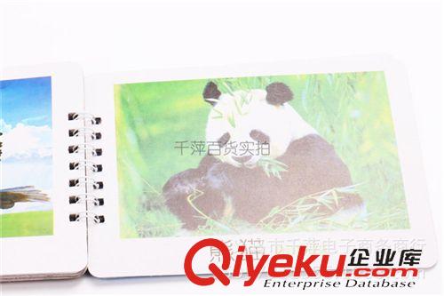 新品發(fā)布區(qū) 早教書 寶寶{dy}本 啟蒙認(rèn)知卡小手撕不爛15張 圖文結(jié)合