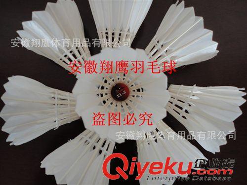 新品展示 安徽翔鷹出口韓國(guó)FLEXBS系列球拍