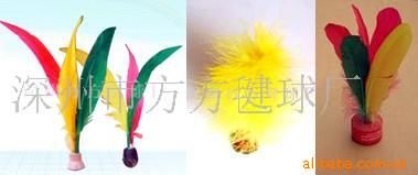 雞毛毽 供應(yīng)毽球，毽子，大花毽 健身用品(圖)