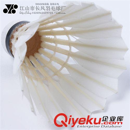 羽毛球 熱賣直銷特級羽毛球 體育用品tr鴨翎耐打羽毛球 競賽訓練用球原始圖片2