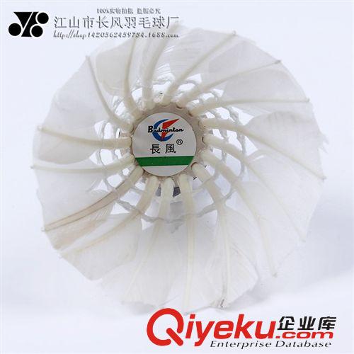 羽毛球 熱銷tj超耐打羽毛球 特選tr鴨彎毛高xjb 職業(yè){sx}羽毛球原始圖片2
