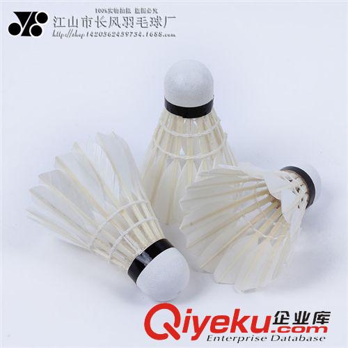 羽毛球 熱銷tj超耐打羽毛球 特選tr鴨彎毛高xjb 職業(yè){sx}羽毛球