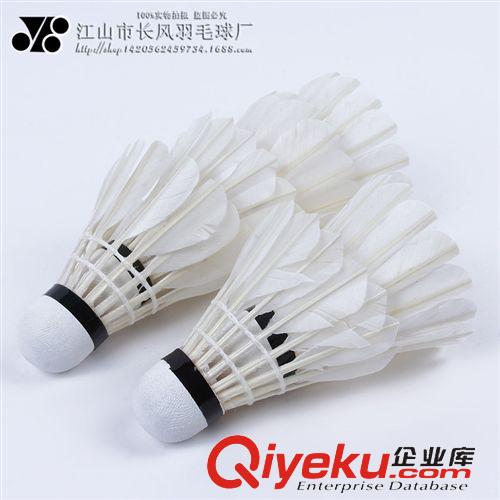 羽毛球 熱賣訓練羽毛球 優質鵝毛高質量羽毛球飛行穩定 品質保證tj批發