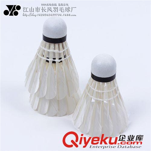 羽毛球 廠家tg12只桶裝羽毛球 體育用品超耐打訓練比賽優質羽毛球