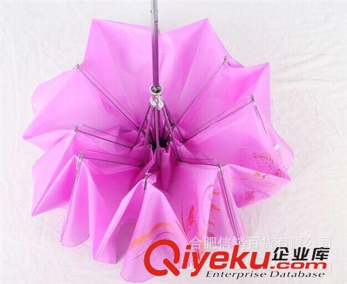 日用百貨 批發(fā)天堂 鳥 雨傘 素色 時尚創(chuàng)意雨傘 遮陽傘 支持定做LOGO 339原始圖片3