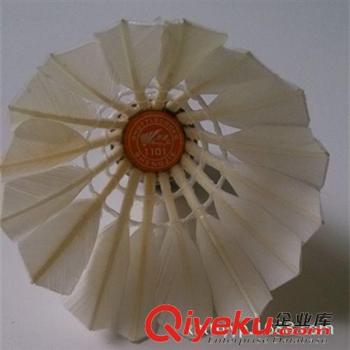 羽毛球 勝捷高品質(zhì)羽毛球 專業(yè)羽毛球廠家直銷，zp羽毛球！原始圖片2