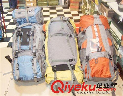 戶外裝備系列 登山包  廠家直銷zyjl