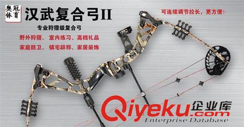 武術(shù)器材系列 弓  戶外 箭靶  zyjl原始圖片3