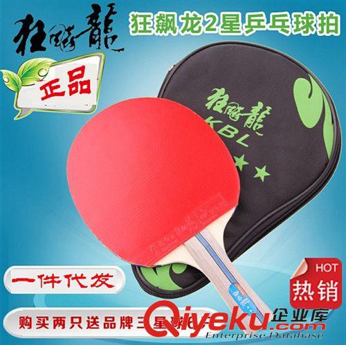 球拍 zp乒乓球拍 狂飆龍2星乒乓球拍雙面反膠單只裝橫拍包郵一件代發(fā)