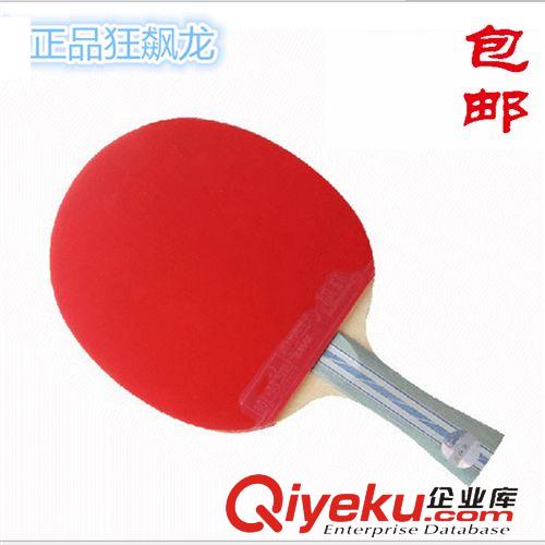球拍 zp乒乓球拍 狂飆龍2星乒乓球拍雙面反膠單只裝橫拍包郵一件代發