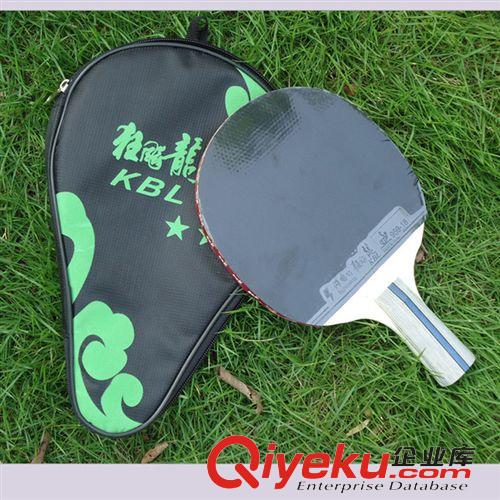 球拍 zp乒乓球拍 狂飆龍2星乒乓球拍雙面反膠單只裝橫拍包郵一件代發