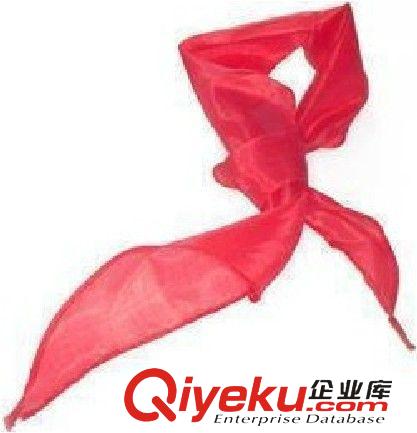 學(xué)生用品 tj紅領(lǐng)巾 廠家直銷紅領(lǐng)巾 紅領(lǐng)巾gd亮麗尼龍紅領(lǐng)巾