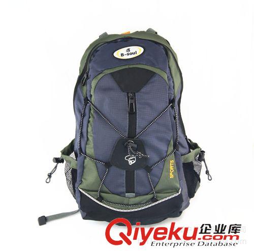 自行車背包 B-soul騎行背包 自行車背包 運動背包 自行車包 15L運動戶外用品原始圖片2