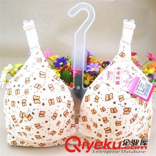 孕婦產(chǎn)前產(chǎn)后用品 zp全棉 哺乳文胸 前開扣 無(wú)鋼圈孕婦內(nèi)衣 喂奶胸罩產(chǎn)婦廠家直銷原始圖片3